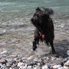 Urlaub im Allgäu (17)